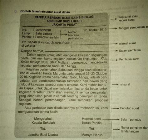 Contoh Surat Dinas Lengkap Dengan Strukturnya Ciri Ciri Dan Contoh Hot Sex Picture