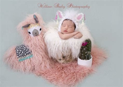 Newborn Baby Photography New Baby Girl With Llama And Cactus Willow
