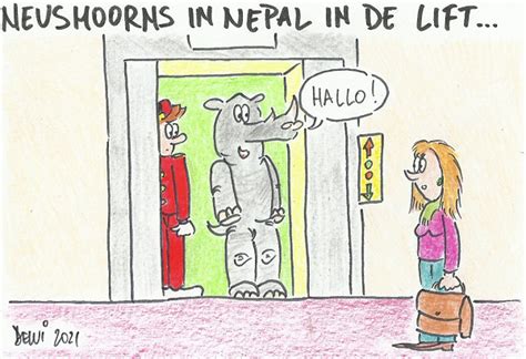 Cartoon Neushoorns Goed Nieuws