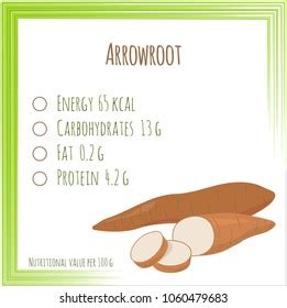 Arrowroot Nutrition Facts Flat Design No Stock Vector Royalty Free