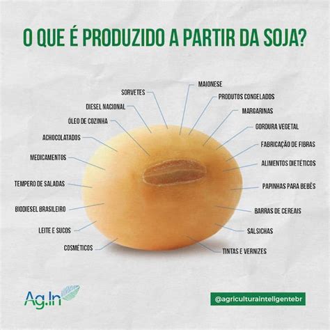 O Que Pode Ser Produzido A Partir Da Soja Agro Bayer Agro Bayer