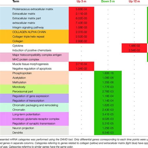 Comparative Functional Analysis Of Differentially Expressed Mrnas In Download Table