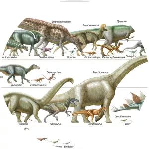 Mesozoic - Geologic period - Whois - xwhos.com