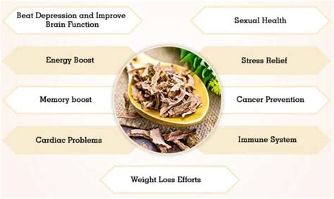 Health Benefits Of Rhodiola Rosea The Nutraceutical Database