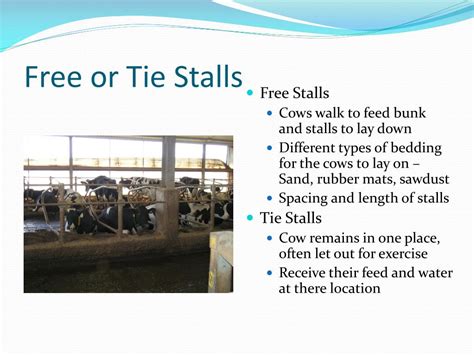 Ppt Ns Dairy Farming Powerpoint Presentation Free Download Id 1166222