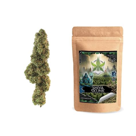 Happy Hemp Nos Produits Shiva Skunk GreenHouse