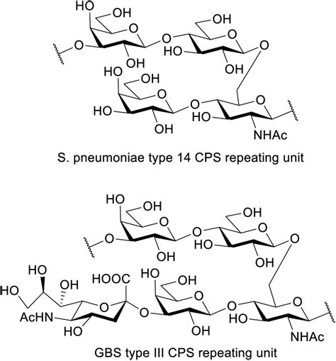 Repeating Unit Of The Capsular Polysaccharide Of S Pneumoniae Type 14