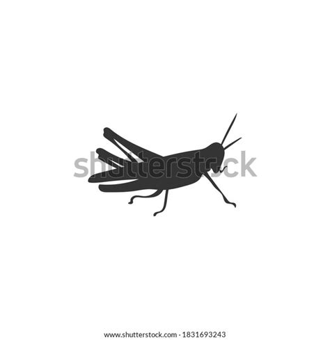 Vector De Silueta De Grasshopper Sobre Vector De Stock Libre De Regalías 1831693243