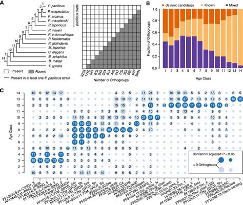 Multiple Pristionchus Pacificus Genomes Reveal Distinct Evolutionary