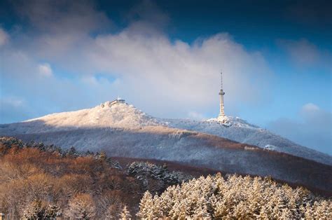#Vitosha Mountain, Bulgaria Beautiful Forest, Beautiful Places ...