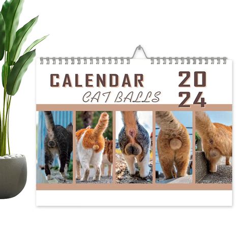 Cat Balls Calendar X Inches Cats Buttholes Wall Calendar