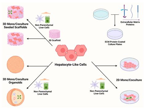 Genes Free Full Text Advancements In Disease Modeling And Drug