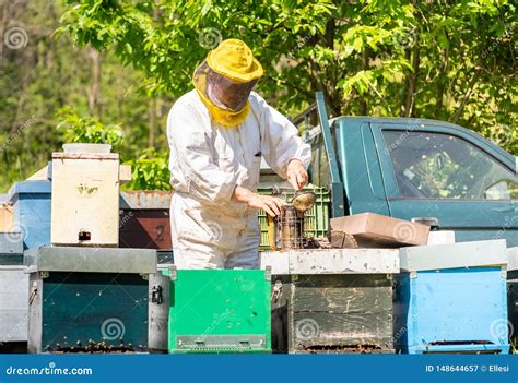 O Apicultor Est Trabalhando Abelhas E Colmeias No Api Rio Imagem