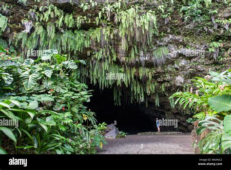 Woman Standing In Front Of Maraa Grotto Grotto Cave Fern Taravao