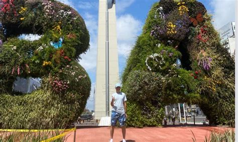 Quién Era El Turista Que Falleció Al Caer A Las Cataratas Del Iguazú La Brújula 24