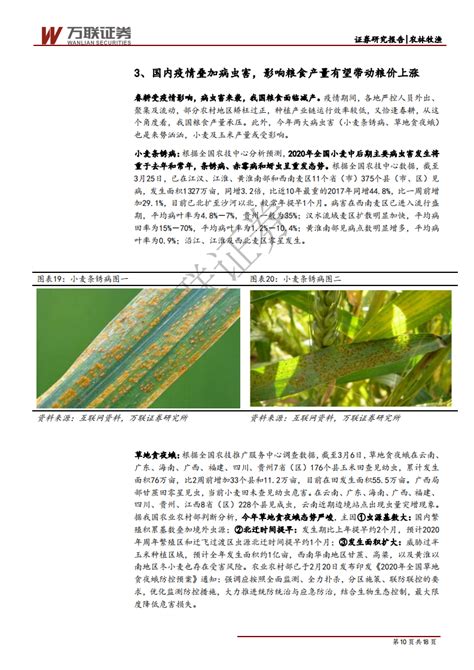 农林牧渔行业粮食安全专题报告：海外粮食出口限制短期无忧，转基因商业化或加速 200402 18页 Pdf 先导研报