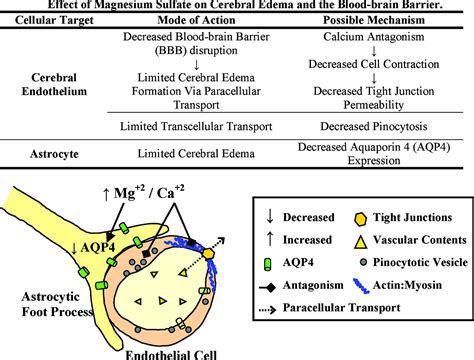 Magnesium Sulfate For The Treatment Of Eclampsia Stroke