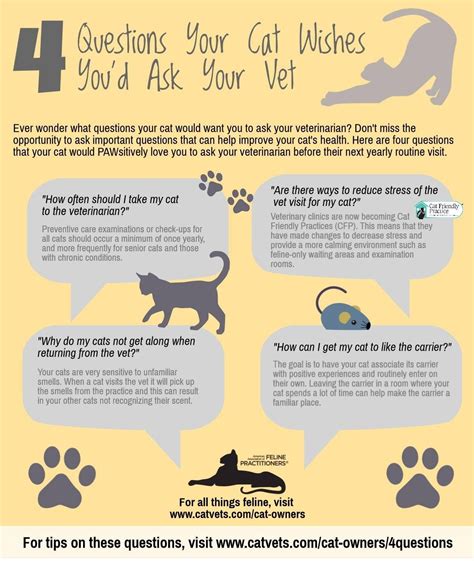 8 Signs That You Should Visit The Veterinarian Artofit