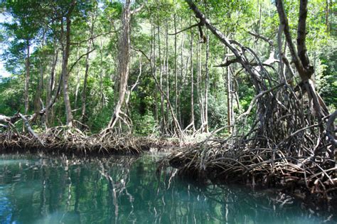 Los Haitises National Park