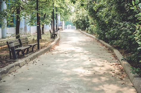 《台北北投》舊雙溪河步道 城市裡的寶藏秘境！幽靜的碧綠河畔步道、邂逅一望無際的田園風光 我的旅圖中 During My Journey