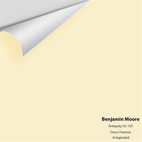 The Color House Benjamin Moore Peel & Stick Paint Samples