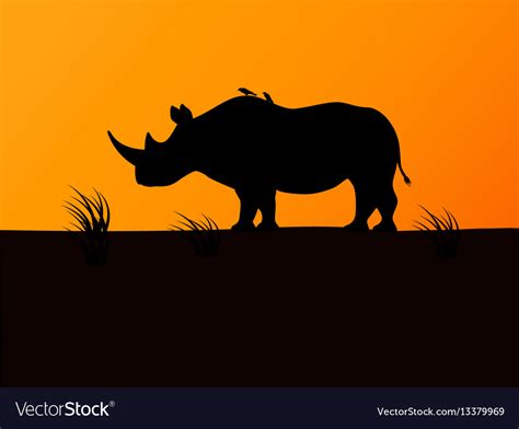 Black rhino silhouette background sunset Vector Image