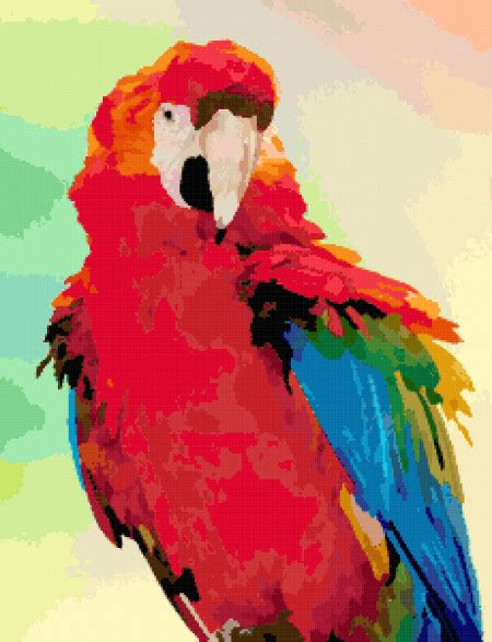 Parrot Free Cross Stitch Pattern Better Cross Stitch