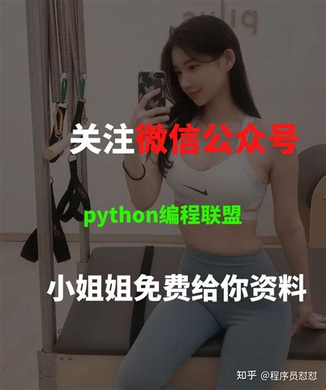 爆火！python入门神作：800个程序实例、5万行代码，《python王者归来》pdf拿走不谢 知乎