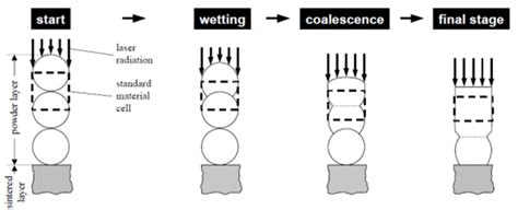 model   standard material cell  scientific diagram