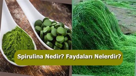 Spirulina Nedir Faydalari Nelerdir Bilim Ve Tekno