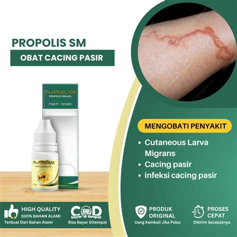 Jual Obat Cacing Pasir Cutaneous Larva Migrans Obat Cacing Pasir Di