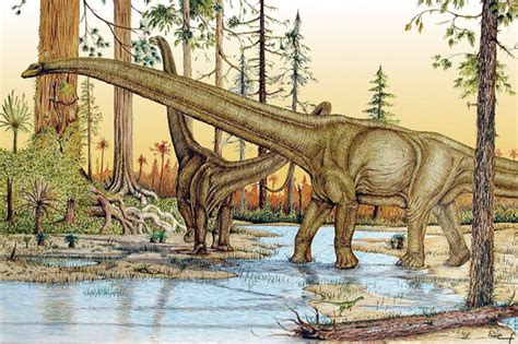 What is the most giant sauropod from Argentina? - Revista Mètode