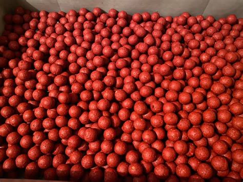 www.carpballs.cz