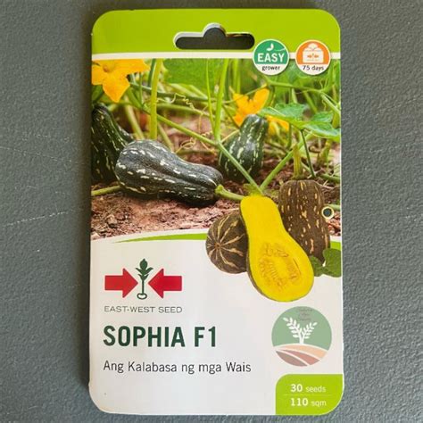 Sophia F Butternut Seeds East West Hybrid Squash Calabasa Vegetable