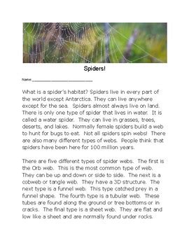 Spiders Reading Comprehension Knowledge Building Page By Robin Skeen