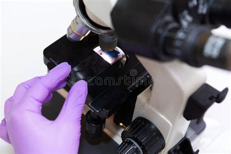 Microscopic Examination Gloved Hand With Glass Plate Under The