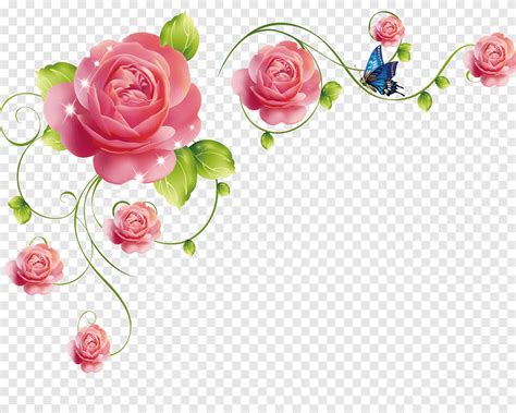 Rose Rattan Rose Flower Vine Png Pngegg