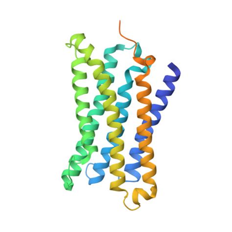 Rcsb Pdb Zlg Human Duodenal Cytochrome B Dcytb In Zinc Ion And