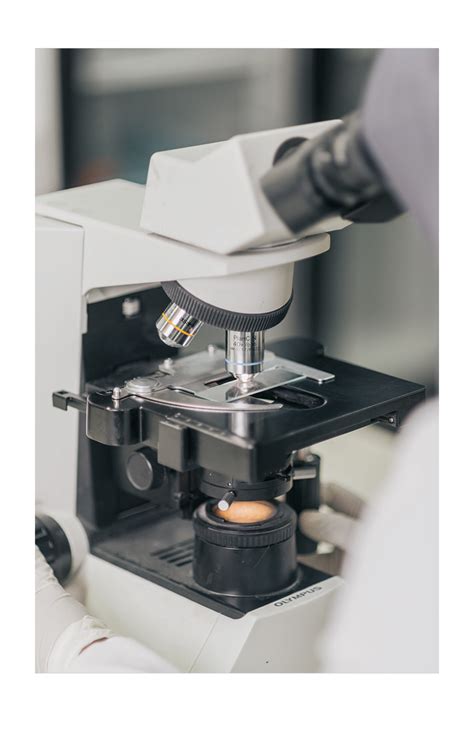 Medlab