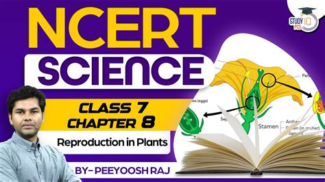 Ncert Science Class 7 Reproduction In Plants Chapter 8 Ncert