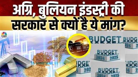 Budget 2024 Expectations Of Commodity Sector इस बर क बजट स कमडट