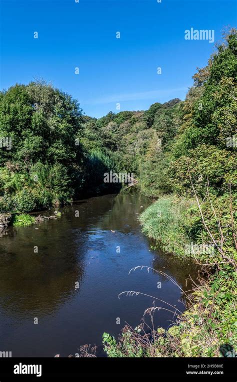 Derwent Walk Country Park Walking Along The River Derwent Stock Photo