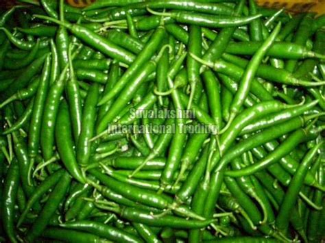 Hydraulic Cylinder Healthy And Natural Fresh Green Chilli At Best Price