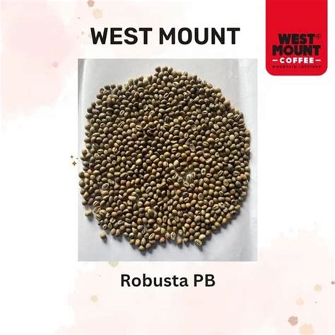 Export Grade Robusta Pb Green Coffee Beans Kg At Rs Kg In