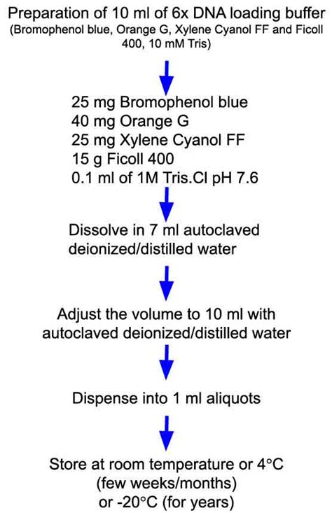 Rna Sample Buffer Recipe | Bryont Blog