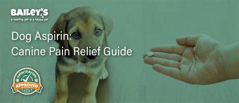 Dog Aspirin Guide: Pain Relief Benefits & Risks for Canines | Bailey's CBD