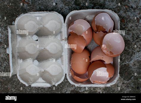 Cracked Eggs In Box Hi Res Stock Photography And Images Alamy