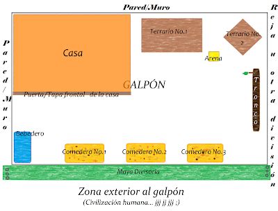 Mi Galpón Casero Cómo construír el galpón casero