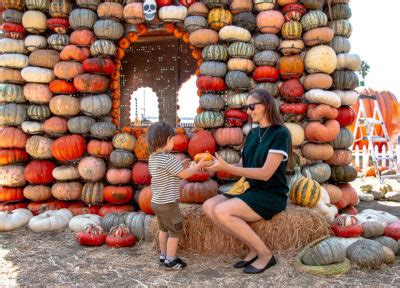 The Best Pumpkin Patches In Los Angeles Roads And Destinations