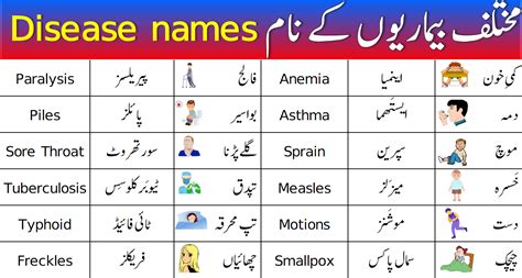 Diseases Names Vocabulary In English With Urdu Meanings Artofit